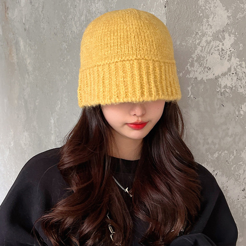 Hat Women's Woolen Fisherman Hat Autumn and Winter Korean Version Versatile Korean Dongdaemun Same Fashion Casual Warm Knitted Hat