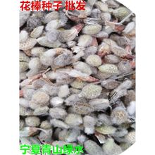 ��ľ�������ӻ�ñ������ţβ������ɭ�ֻ�������ɳ�ͺ�̤������