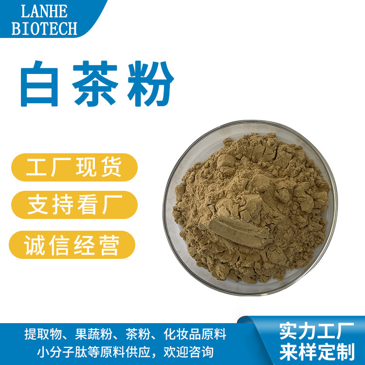 Instant White Tea Powder White tea extract white tea powder white tea polyphenols instant tea powder spot Instant White Tea Powder White tea extract white tea powder white tea polyphenols instant tea powder spot
