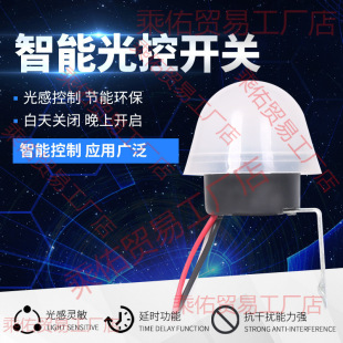 Street lamp light control switch 220V rainproof AS-20 light sense adjustable automatic light controller 12V