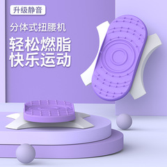 Zhijia waist twisting machine separate waist twisting turntable double pedal home fitness equipment dancing split waist twisting disc wholesale