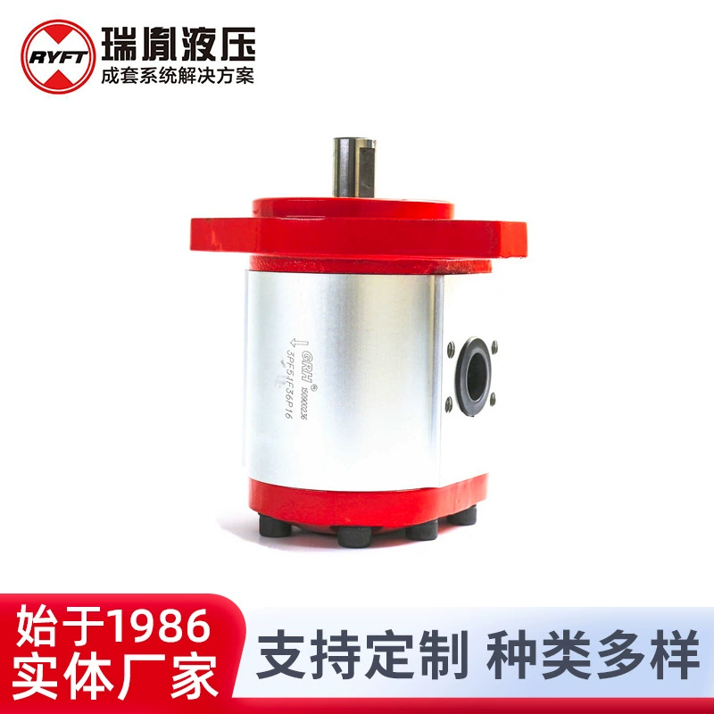 Производитель поставляет гидравлический шестеренчатый насос для гидравлической системы Rui 3BPF