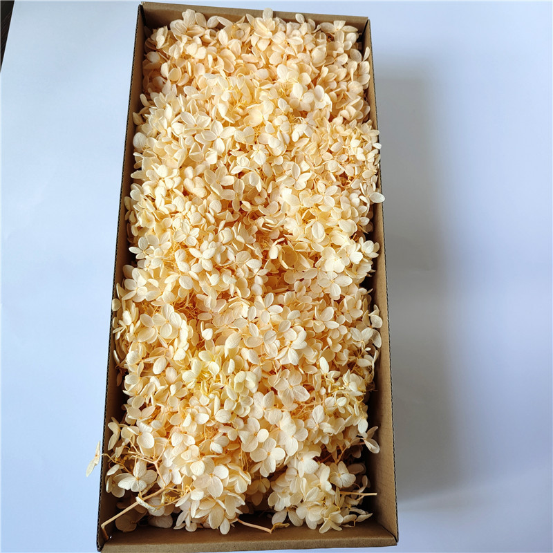 Everlasting flower hydrangea wood hydrangea tower-shaped mid-leaf Yunnan Christmas bouquet diy material preserved flowers