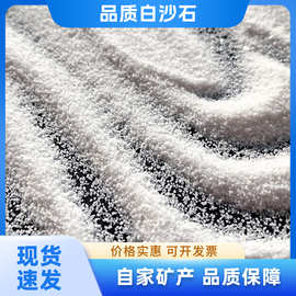 雪花白沙人造沙滩填充沙酒店灭烟沙装饰鱼缸底沙水族草坪造景用沙