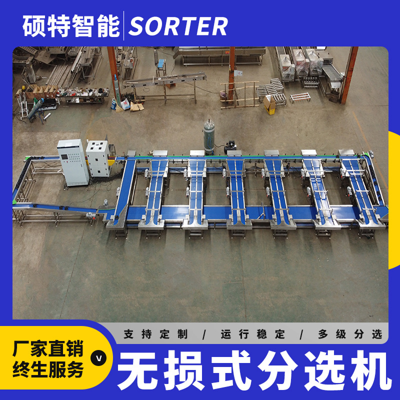 大芒果多级称重分选机 水蜜桃重量分拣机 无损坏果检测挑选机