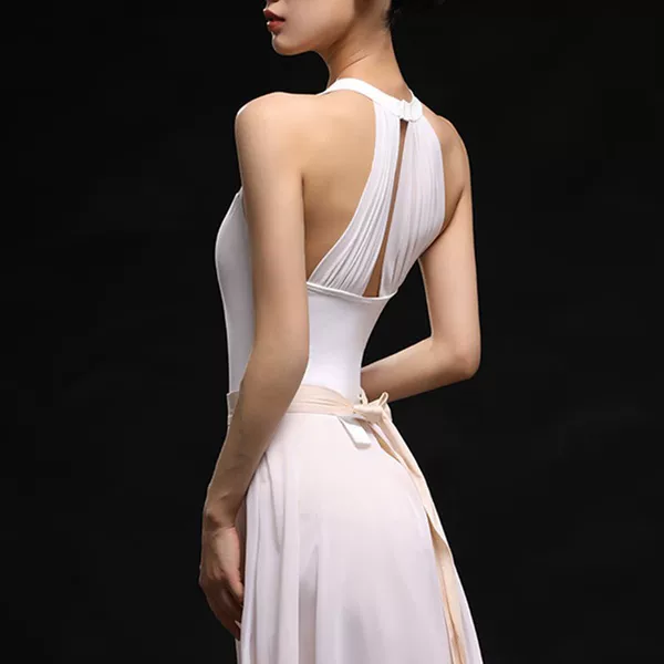 Carefully Selected Ballet Dance Leotards for Adult Women, New Summer Style, Sleeveless Halter Neck, Suitable for Art Exams and Practice, with Mesh Paneling
