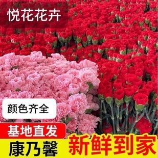 ĸ�H���Y�����ˮ�����l��ֱ�l����ܰ�r�������҃Ȳ廨ˮ�B�r�л�