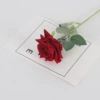 Deep red (velvet horned rose)