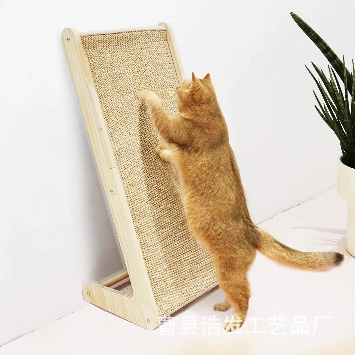 微信图片_20240613163730.jpg