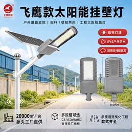 太阳能灯;道路照明灯;投光灯