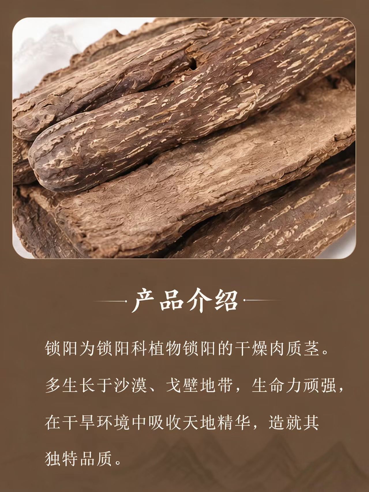 Cynomorium Songaricum Slices Suo Yang Dried Herb for Tea Wine and Decoction 1000g overview