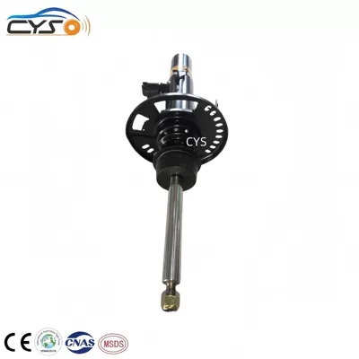 damping system Bmw X3 G01 Shock