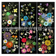 跨境干花压花材料包贴脸花瓣妆树叶贴画植物标本真花手工 DIY材料