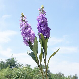 Simulation Flower Purple Lan Single Purple Purple Puppet Flower Simulation Flower Furnishing Wedding Flower Flower Flower Art