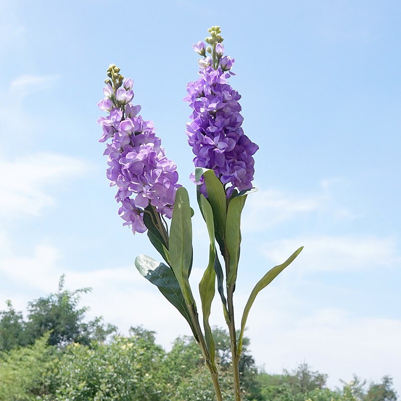 Artificial Flower Violet Single Branch Pastoral Violet Artificial Flower Artificial Flower Home Furnishings Wedding Photography Flower Floral Art Artificial Flower Violet Single Branch Pastoral Violet Artificial Flower Artificial Flower Home Furnishings Wedding Photography Flower Floral Art