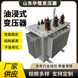200KVA�ͽ�ʽ׃����/S11/S13-250/315KVA10KV�������׃�����S��