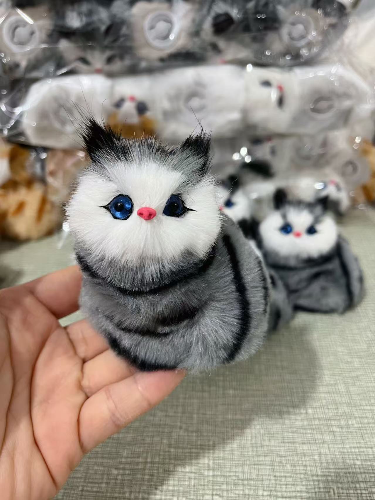 칭다오 고양이 (짖을 수 있음)