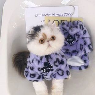 Kitten Clothes Autumn and Winter fleece-lined Warm Winter Thickened Sweatshirt Puppet Blue Cat Kitten Pet Anti-hair Tide