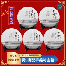 正宗白茶2013年福鼎白茶寿眉陈年老白茶白茶饼7饼茶叶礼盒装送礼