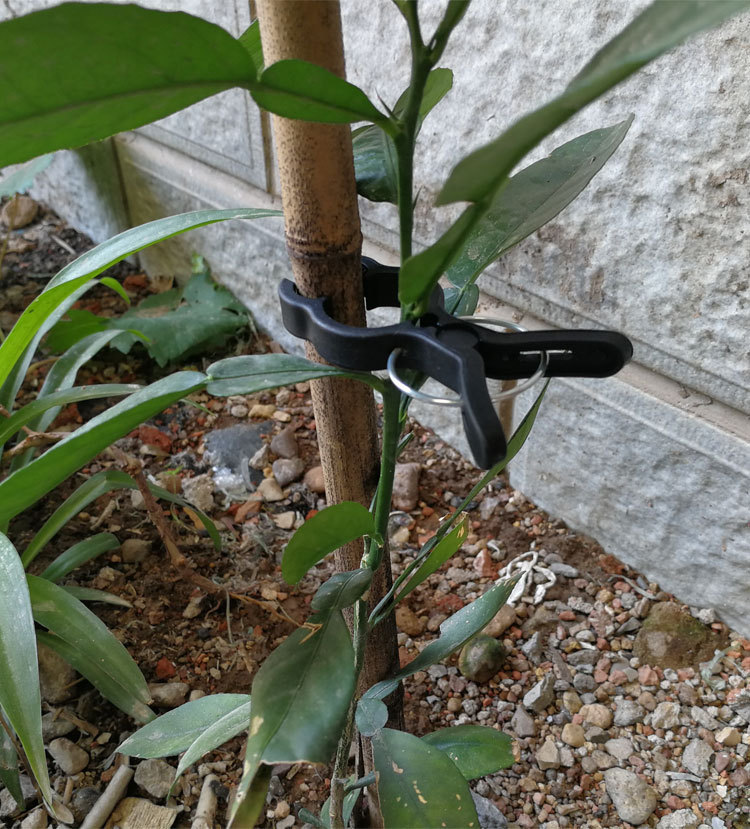 园林塑料夹详情_06.jpg