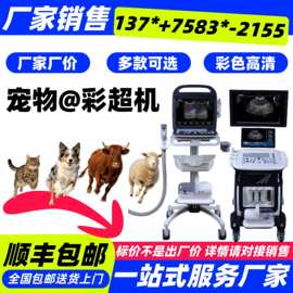 动物B超机 兽用B超/牛用B超/马驴用B超仪/猪羊用B超机