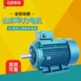 华力山东全铜系列电动机