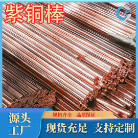 厂家供应C1221紫铜棒T3紫铜棒T1紫铜板T2紫铜品质保证现货齐零售