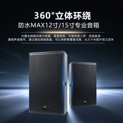 防水 MAX プロフェッショナル 12inch ステージスピーカー屋外パフォーマンス 15inch ホームカラオケバー会議室結婚式のオーディオ