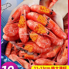 ���O�r���r���r�������r�����r�����^�Ѹ��ѱ��O�ܺ��rˮ�a�r��A3