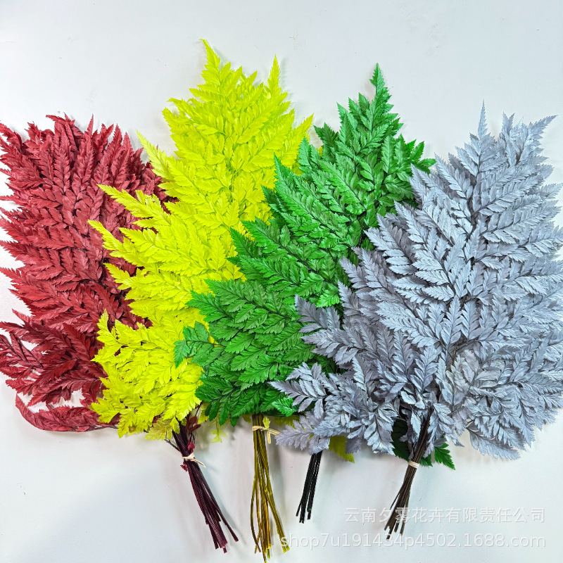 Everlasting Dried Fern Leaves, Real Flowers, DIY Materials, Bouquet Accessories, Home Decoration Ornaments, Flower Arrangement
