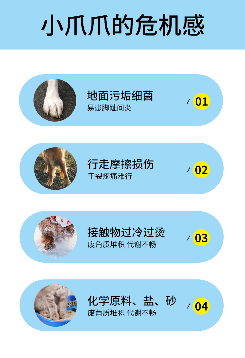 (爪子)奥拉齐阿猫阿狗详情_02