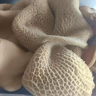 ���rţ��һ��ֻ����ë��ţ�ǰ��Ʒ������X�Ǽ��������������l