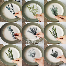 ��Ұ��֧|���D÷����ǧ�ӽ��������ɻ�diy���Ͻ�ָ�����~ֲ��˱�