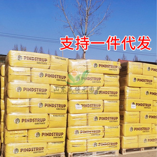 网红小水枪