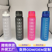 时尚简约直饮塑料杯便携户外半透明运动水杯大容量车载随手吸管杯