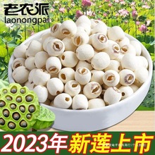 ɏ ؛ ؼ  oҰɏrĥƤȥİɏӰٺϸyɏ