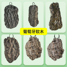 葡萄牙软木鹿角蕨石斛洋兰蝴蝶兰板植天然树皮爬宠雨林造景天然异