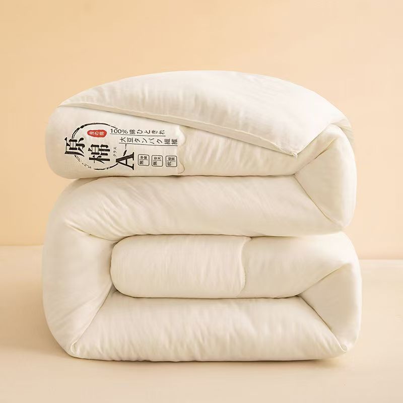 A类原棉大豆被四季通用空调被春秋冬被学生宿舍礼品被子批发代发