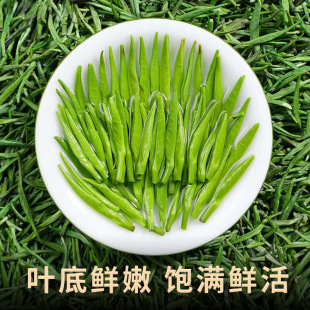 ȸ��G��2026�²���ǰ���~����ȫ��ѿ�^������̶��ѿ���b250gë��