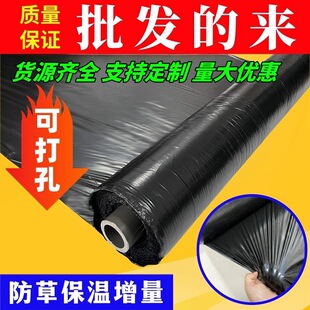 Weeding Black Mulch Film Agricultural Planting Orchard Vegetable Weeding Black Mulch Film Fruit Tree Plastic Film Thickeneded