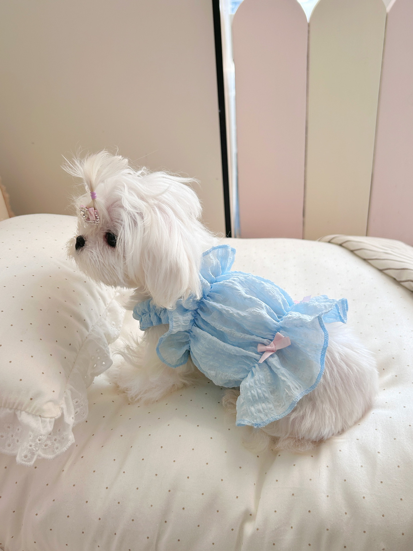 Summer Lightweight Pet Clothing, Mesh Princess Dress, Dog Cat Vest, Cute Clothes For Teddy And Bichon Dogs_voghion.com