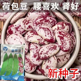 �ɰ����N���I���N���S�a�L�۶��N�Ӵ��I���ʵ۶��N���߲˷N����