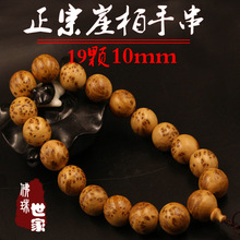 ̫°ִ1.0cmꐻϝMȸ۸10mm19w