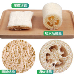 Hard Melon Loofah Washing Cloth Kitchen Cleaning Pot Scrub Dishwashing Gadget Shower Scrub Bath Loofah Wholesale