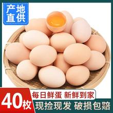 ����ɢ�B���r���u��40ö�r�Ҳ��u�� ���������u�����u��������]