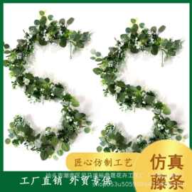 尤加利桉树叶刺果藤条室内外绿景墙栅栏插花配材绿墙绿植藤蔓