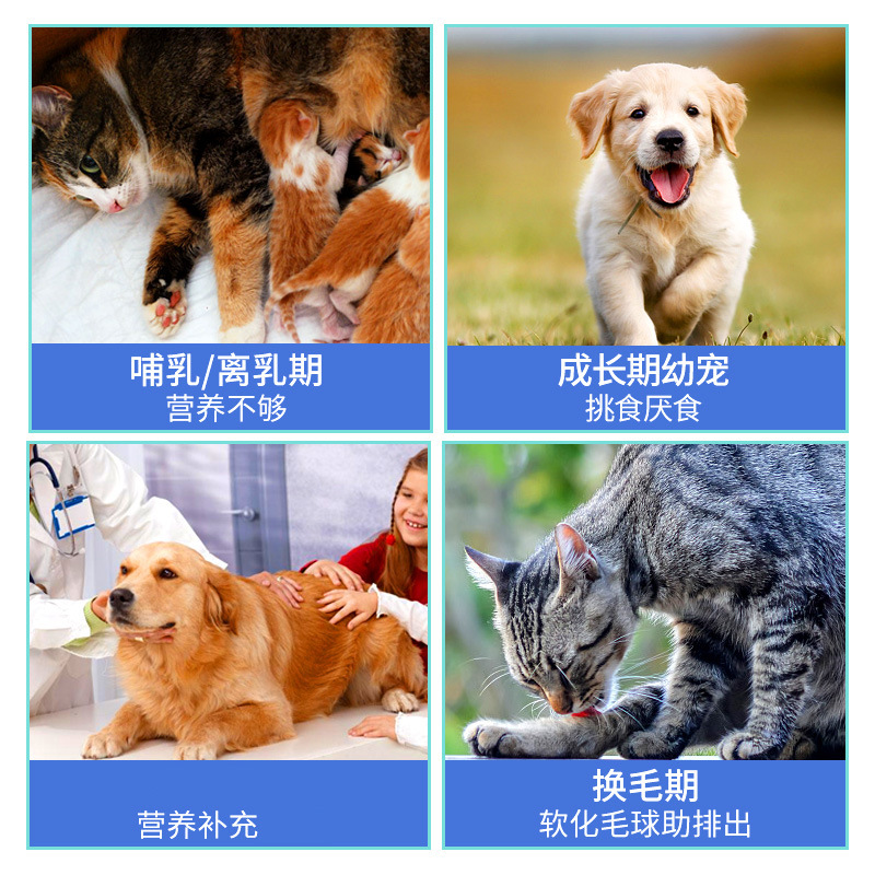 Sainz Pet Probiotic Nutritional Hair Cream Regulates gastrointestinal discharge of hair balls Dog Nutritional Cream