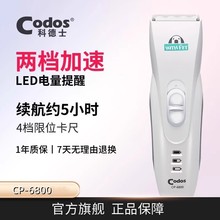 ������Ƶ�ʿCP-6800������Ƽ���ë������؈�����_ë��ë������