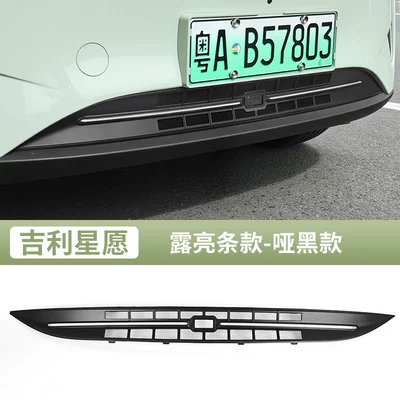 insect-proof mesh grille accessories, car: Automobile anti-insect net - star-wish-insect-net-matte-black-bright-version-310410-geely-star-wish