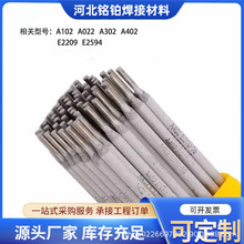 lK304P䓺lA102A022A302A132A402A507E2209E2594